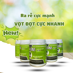 Phân Bón Kích Rễ Mạnh A3M Dương Ninh – Đẩy Đọt Nhanh - Cải Tạo Đất – Phục Hồi Cây Trồng A3M