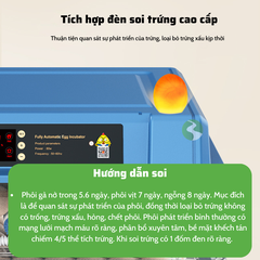 Máy ấp trứng gà, máy ấp trứng mini thông minh, Máy ấp trứng tự động thế hệ mới 220v & 12v MAT08