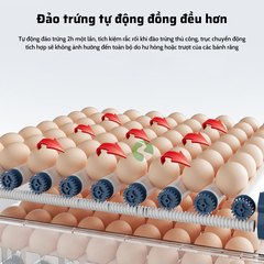 Máy ấp trứng gà, máy ấp trứng mini thông minh, Máy ấp trứng tự động thế hệ mới 220v & 12v MAT08