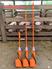 GẬY ĐUỔI HEO CAO CẤP DƯƠNG NINH A201