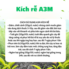 Phân Bón Kích Rễ Mạnh A3M Dương Ninh – Đẩy Đọt Nhanh - Cải Tạo Đất – Phục Hồi Cây Trồng A3M