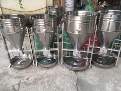 Máng Ăn Cho Heo: Giải Pháp Tối Ưu Chi Phí Và Hiệu Quả Chăn Nuôi