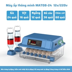 Máy ấp trứng mini ấp trứng gà tự động ấp trứng gia đình 220V VS 12V MAT