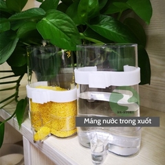Máng nước chim ăn uống tự động bồ câu DN33