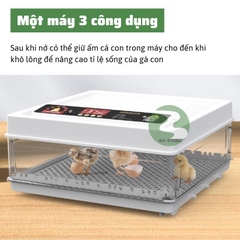Máy ấp trứng gà mini tự động thông minh ấp trứng gà, chim, bò sát DN63