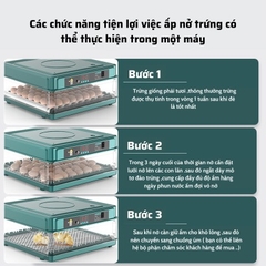 Máy ấp trứng gà mini tự động thông minh đảo trứng