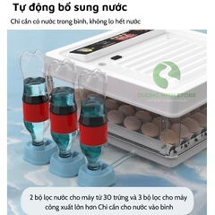 Máy ấp trứng mini ấp trứng gà tự động ấp trứng gia đình 220V VS 12V MAT