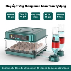 Máy ấp trứng gà mini tự động thông minh đảo trứng