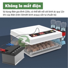 Máy ấp trứng gà mini tự động thông minh ấp trứng gà, chim, bò sát DN63