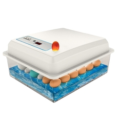 Máy ấp trứng gà mini, máy ấp trứng tự động đảo trứng, 03 sử dụng 220v&12v