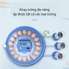 Máy ấp trứng gà thông minh tự đảo thế hệ mới ấp trứng chim bồ câu gà đá