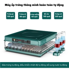 Máy ấp trứng gà mini tự động thông minh đảo trứng