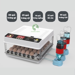 Máy ấp trứng gà mini tự động thông minh ấp trứng gà, chim, bò sát DN63