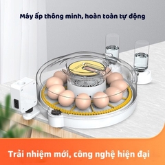 Máy ấp trứng gà thông minh tự động hiệu đại MA11