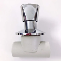 Van PPR Inox
