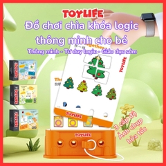 Đồ chơi chìa khóa logic thông minh cho bé trò chơi mở khóa trí tuệ logic key rèn luyện tư duy logic trẻ em TOYLIFE
