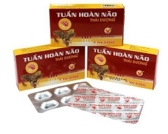 Tuần hoàn não Thái dương 12viên