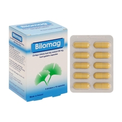 Bilomag 80 mg (Ginkgo biloba) H6 vỉ x 10v