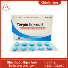 Terpinbenzoat H100Viên nén Thanh Hóa