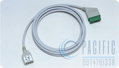 Dây nối đo điện tim (loại 3/6 điện cực - K922)