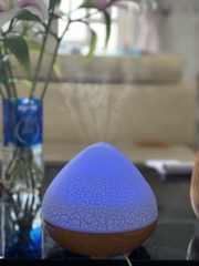 Máy búp sen trứng - VÀNG