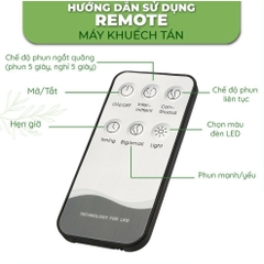 Remote