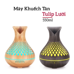 Tulip lưới