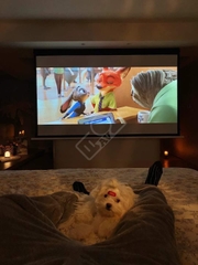 Màn điện âm trần quang học Vividstorm (UST)