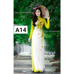 Áo dài in 3d màu xanh cốm - Áo dài Đan Linh