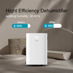 Máy hút ẩm Steiger STG - 820DW