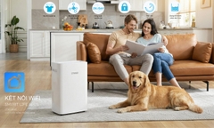 Máy hút ẩm Steiger STG - 825DW