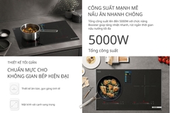 Bếp từ 2 vùng Steiger DDI798MAX