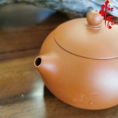 Ấm Tử Sa AM169 - 230ml