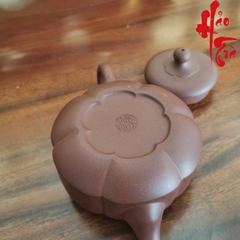 Ấm Tử Sa AM245 - 260ml
