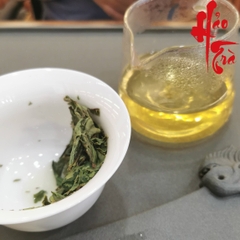 Bạch Trà Mẫu Đơn Phúc Đỉnh 2025