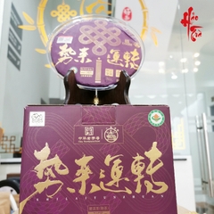 Phổ Nhĩ Chín 2025 Kỷ Niêm Ất Tỵ