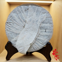 Phổ Nhĩ Sống Mãnh Hải Bách Trà Phi 2003 - Bánh 357g