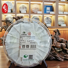 Phổ Nhĩ Sống Ấn Tượng Bố Lãng 2024