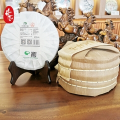 Phổ Nhĩ Sống Đại Tuyết Sơn 2024
