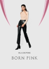 Leather Pants - Quần da dài