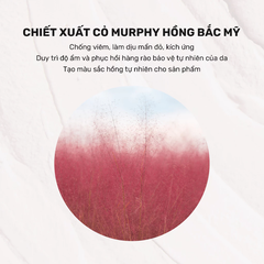 Mặt Nạ Đất Sét Hút Dầu Kiểm Soát Nhờn - Derladie Vegan Pink Clay Mask Deep Pore Tightening