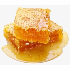 Raw Unfiltered Honey Kirkland - Mật ong Mỹ 1.36kg
