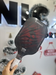 Vợt Pickleball Gamicy Glass Lion - Đen