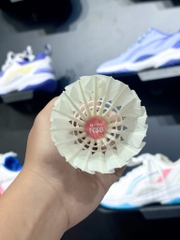 Cầu Hải Yến N38 hồng