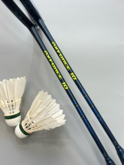 Vợt Cầu Lông Lining Axforce 10 Chính Hãng (Nội địa Trung)