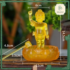 TƯỢNG PHẬT ĐẢN SINH