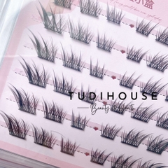 Mi giả cụm dáng Fox Eyes ( hộp 6 cặp )