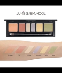 Bảng triệt sắc Jung Saem Mool Concealer Palette