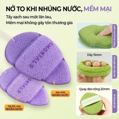 set 3 bông mút bọt biển rửa mặt Amortals