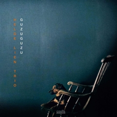 vinyl HELGE LIEN TRIO - Guzuguzu